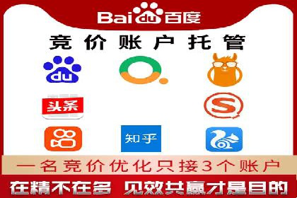 成功案例揭秘：百度竞价账户托管的运营之道